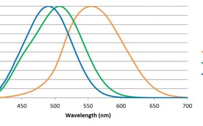 Entraining Circadian Rhythms