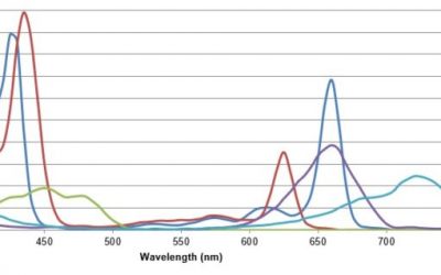 Horticultural Lighting Metrics