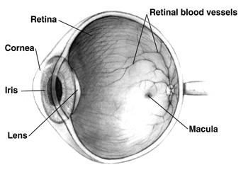 Understanding Mesopic Photometry