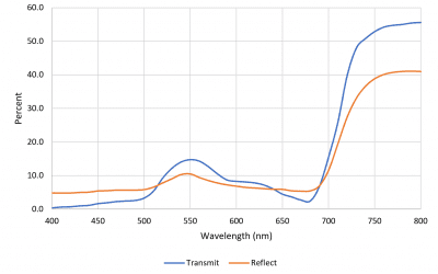 Far-Red Lighting and the Phytochromes