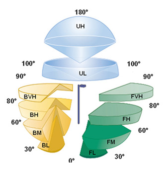 Figure 3-1. The ANSI/IES Luminaire Classification System. Image credit: Clanton and Associates